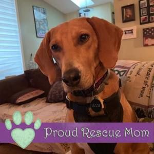 Meet your Posher, Paula